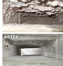 Steam Dry Carpet and Air Care